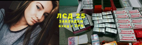 дмт Алзамай